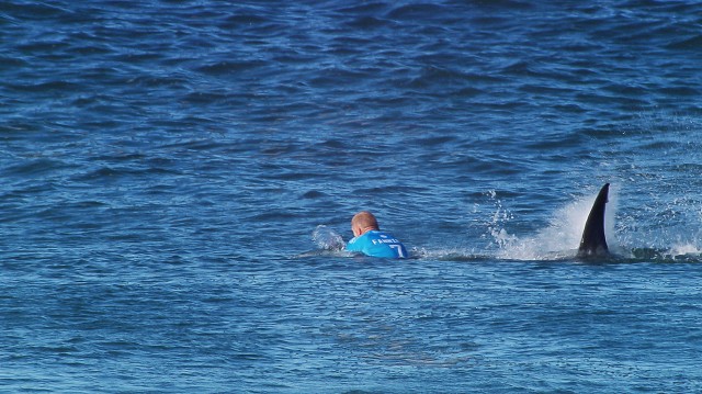 Hamish Jolly: A shark-deterrent wetsuit (and it's not what you think)
