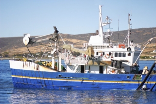 Stop Overfishing
