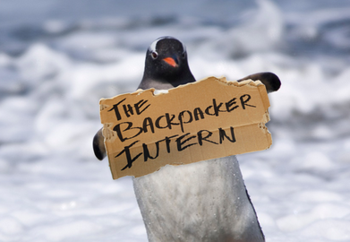 OMG Mark is on Antarctica