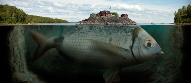 Impossible photography