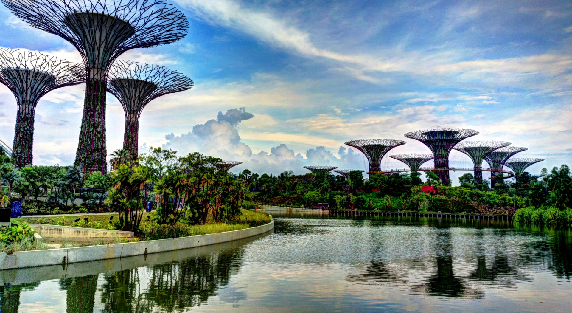 The Supertree Grove in Singapore (Khairul Nizam)