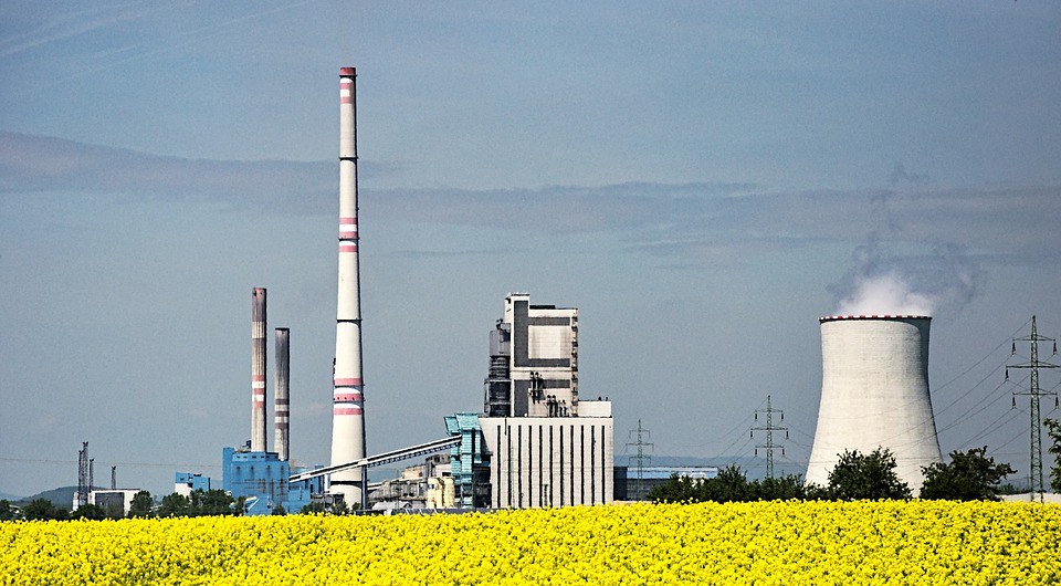 A rapeseed biofuel power station