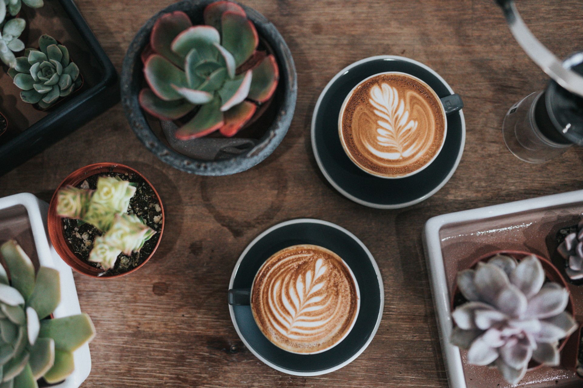 With plant-milks you can have your cappuccino and drink it too. Photo by Nathan Dumlao on Unsplash