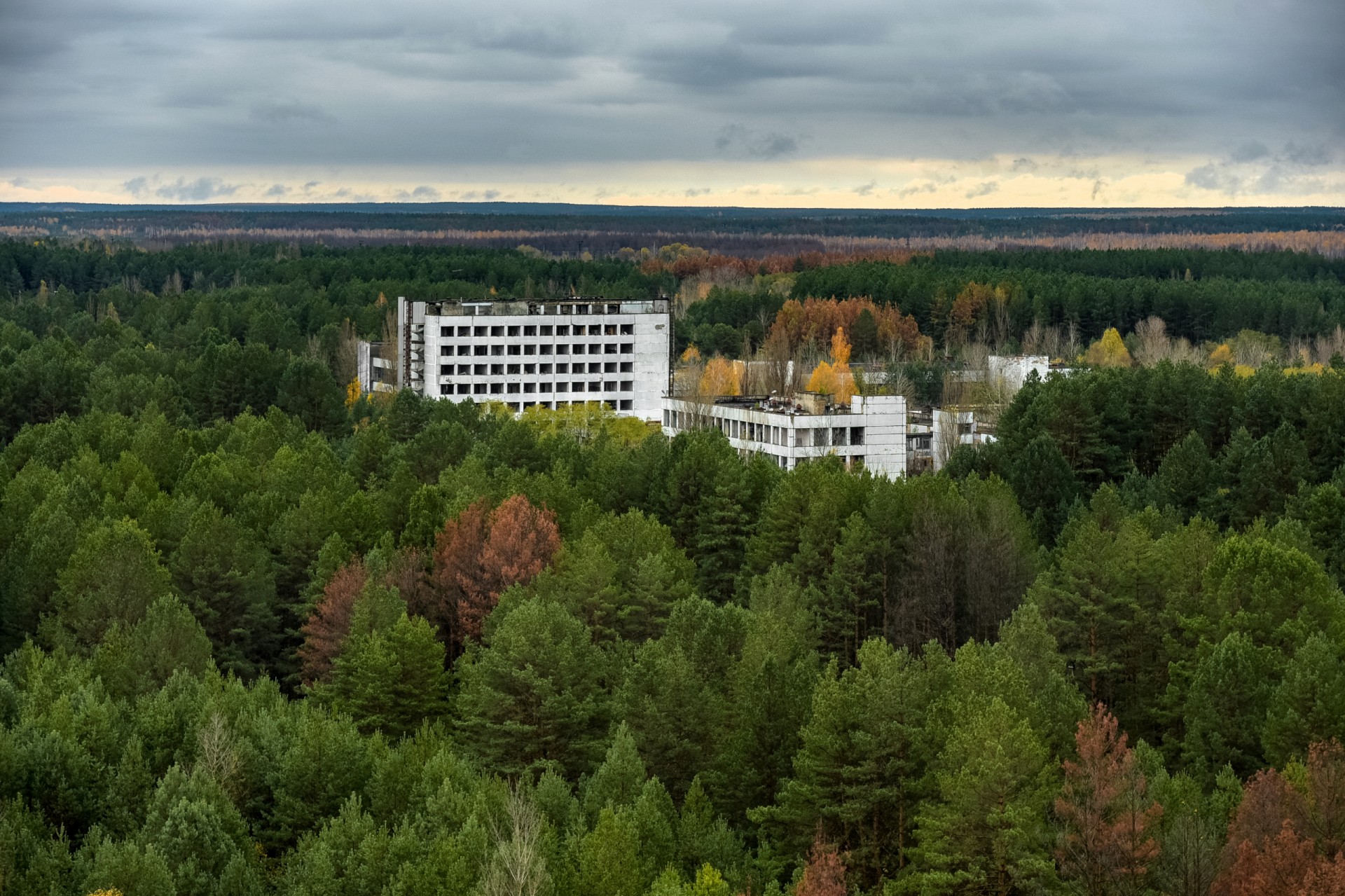 Forests have reclaimed the ‘abandoned city’ of Pipyat near Chernobyl. Photo by Jorge Franganillo via Flickr