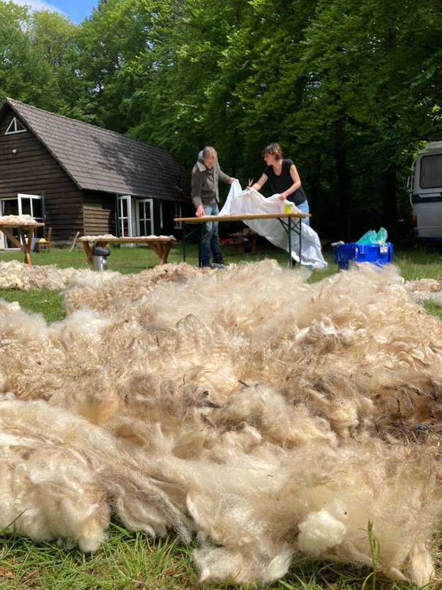 Wool felting on Maker Day — Photo courtesy of Tribal Knowledge